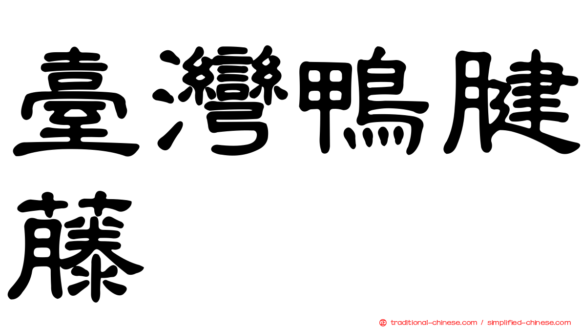 臺灣鴨腱藤