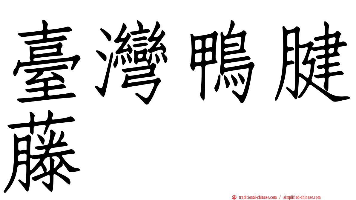 臺灣鴨腱藤