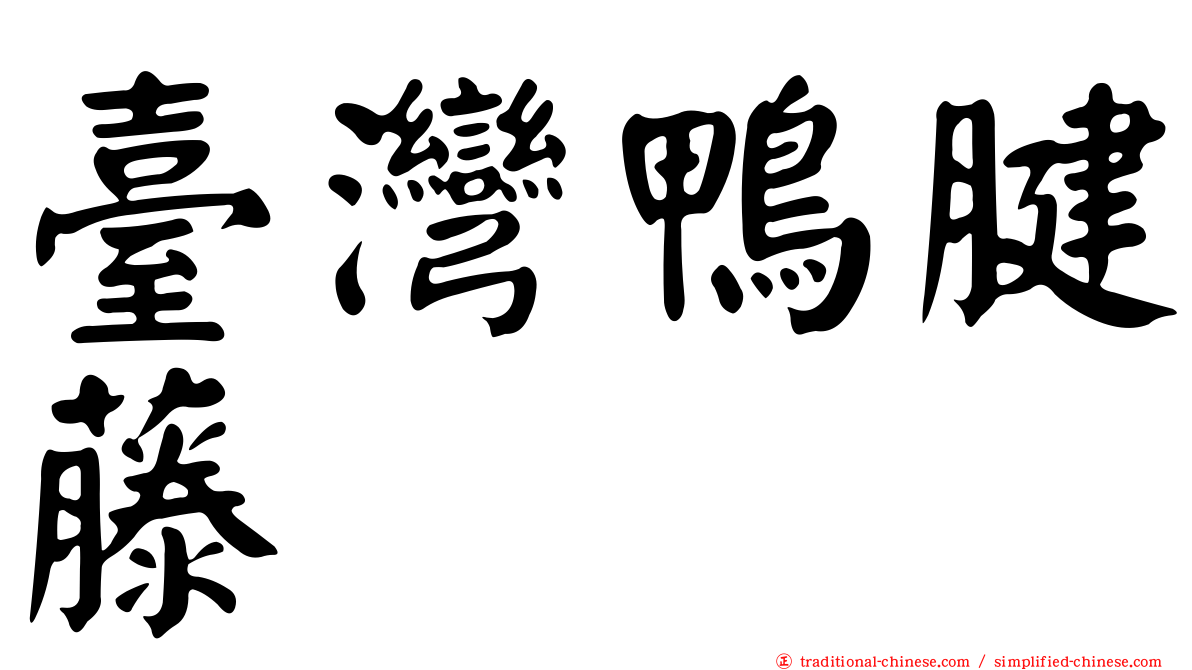 臺灣鴨腱藤