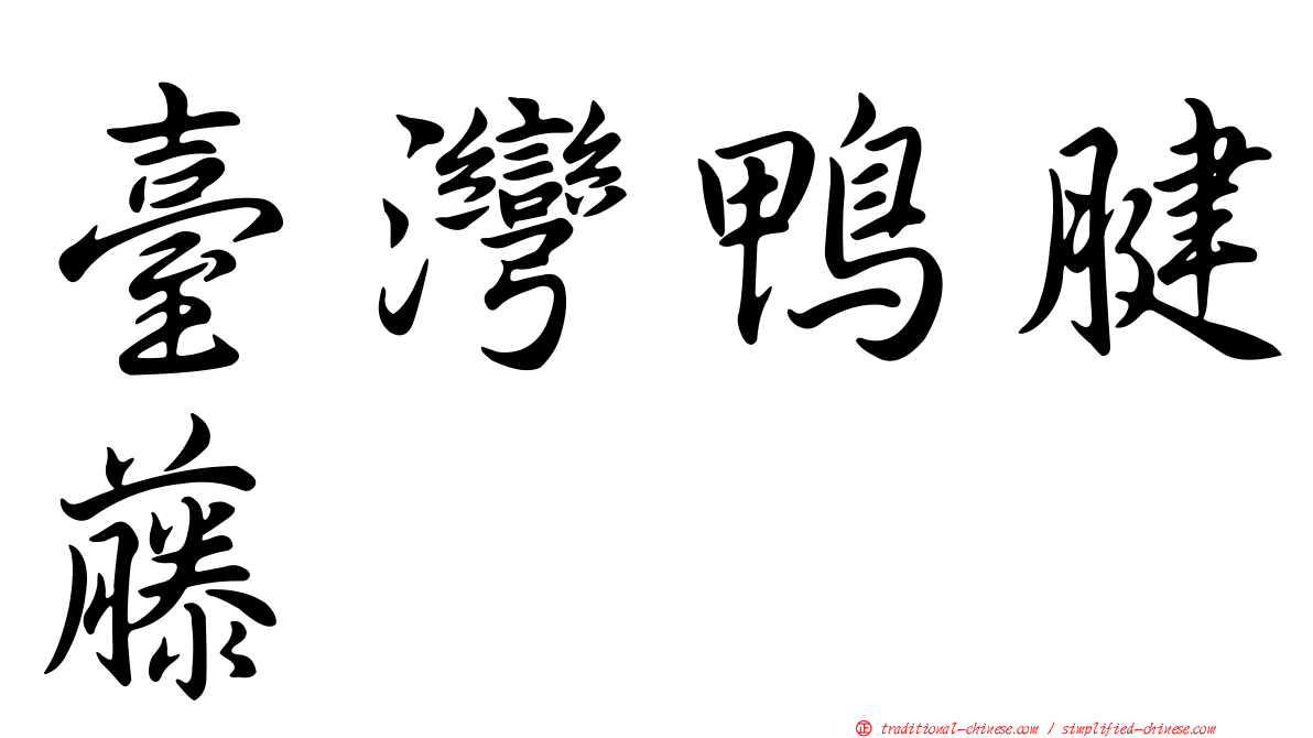 臺灣鴨腱藤