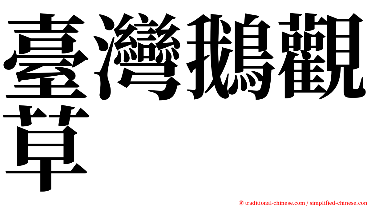 臺灣鵝觀草 serif font