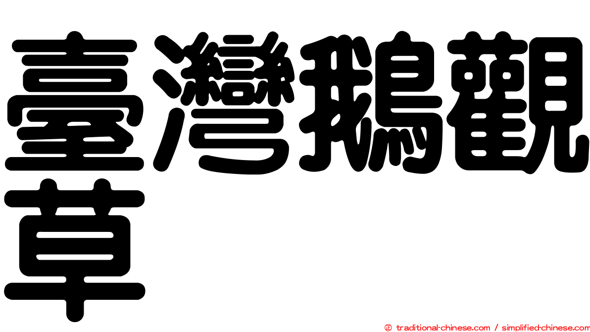臺灣鵝觀草