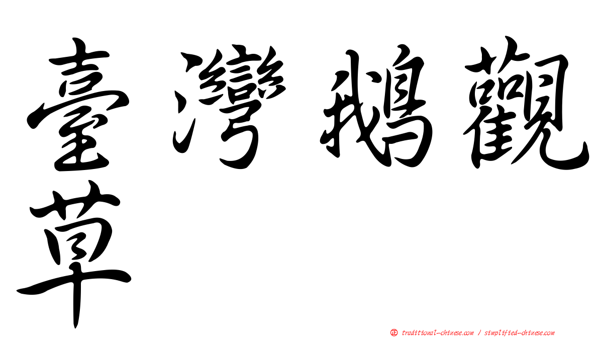 臺灣鵝觀草