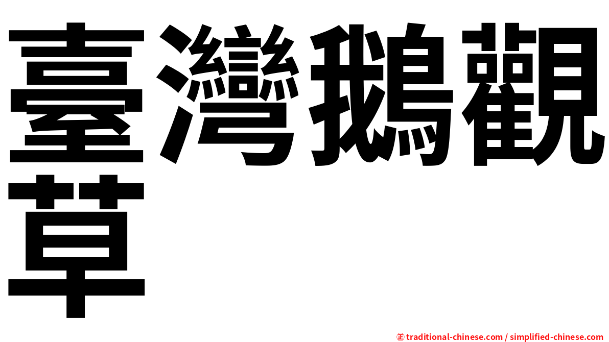 臺灣鵝觀草