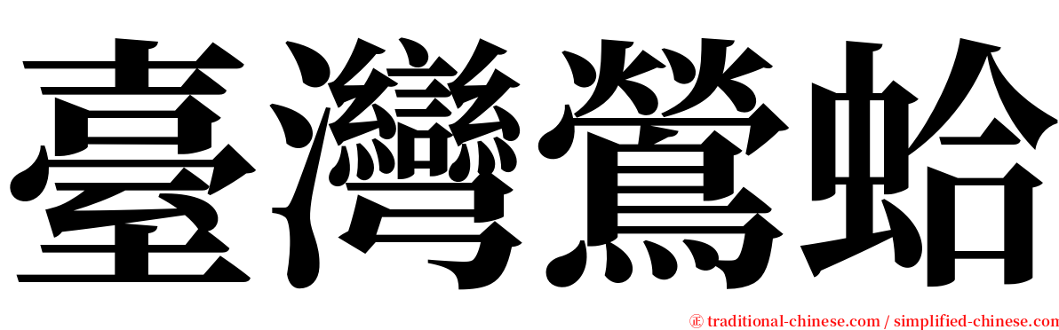 臺灣鶯蛤 serif font
