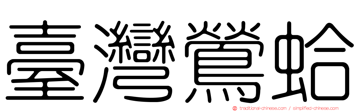臺灣鶯蛤
