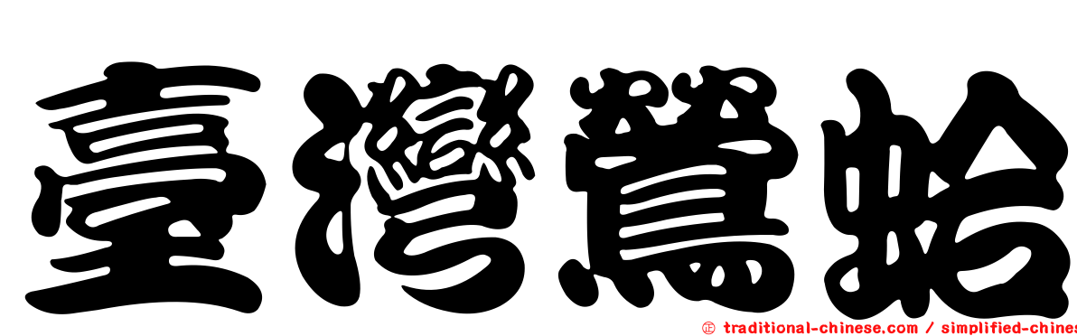 臺灣鶯蛤