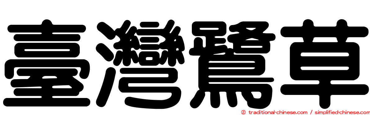 臺灣鷺草