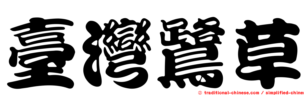 臺灣鷺草