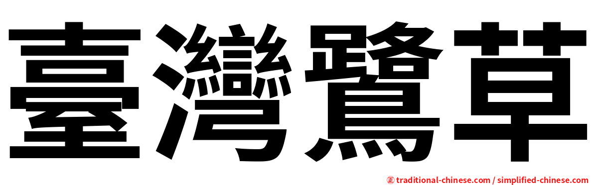 臺灣鷺草