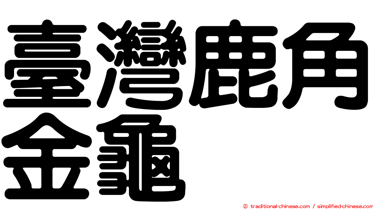 臺灣鹿角金龜
