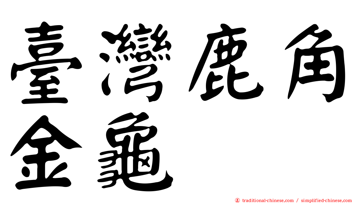 臺灣鹿角金龜