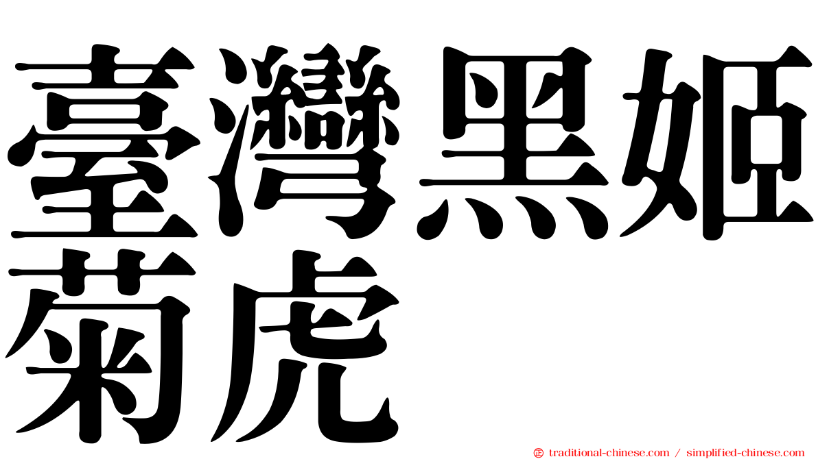 臺灣黑姬菊虎