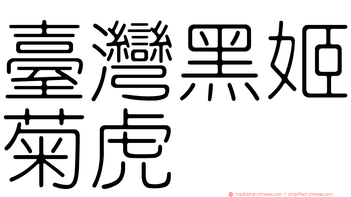 臺灣黑姬菊虎