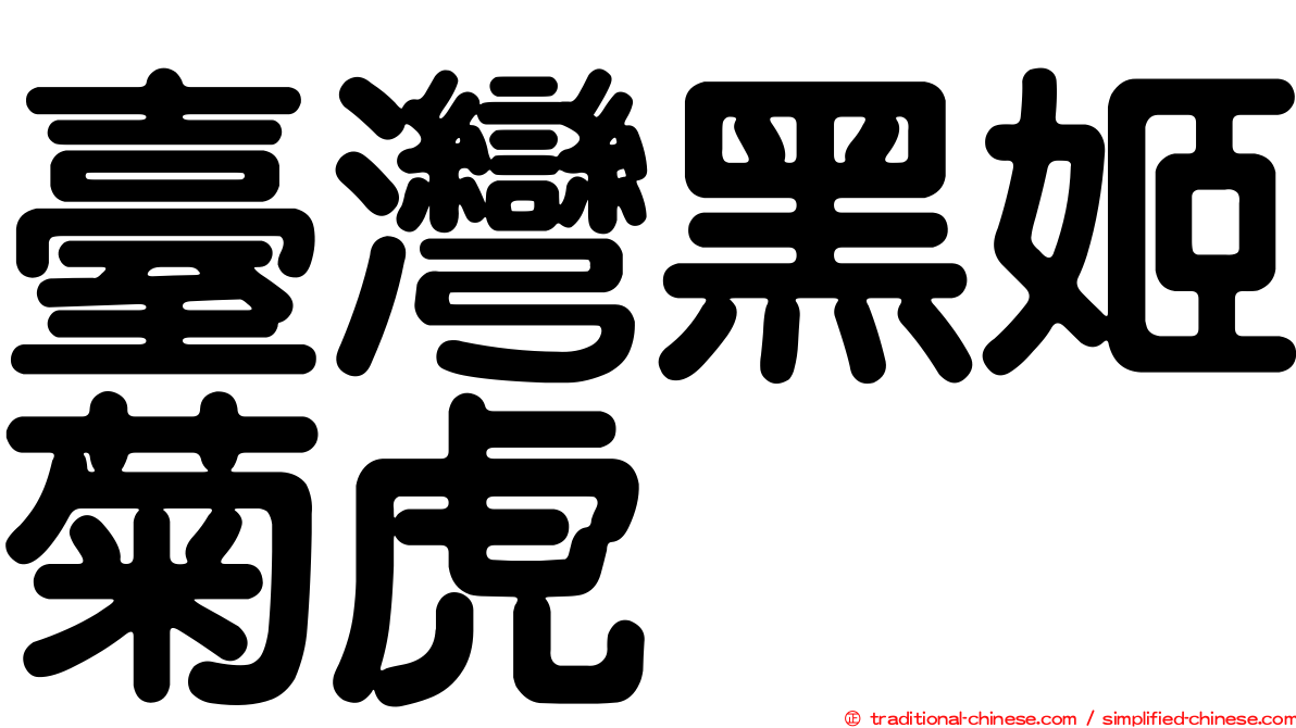 臺灣黑姬菊虎