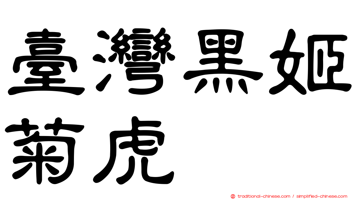 臺灣黑姬菊虎