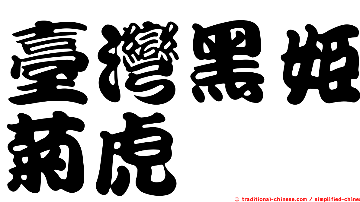 臺灣黑姬菊虎