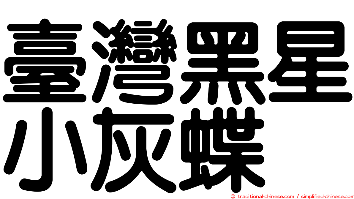 臺灣黑星小灰蝶