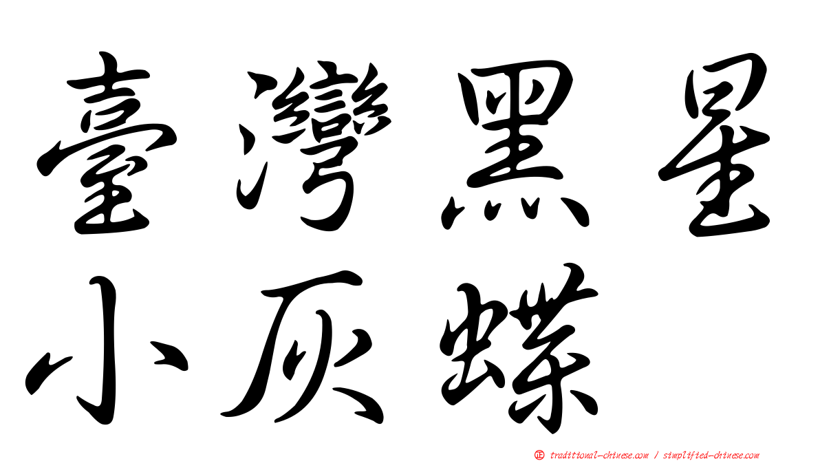 臺灣黑星小灰蝶