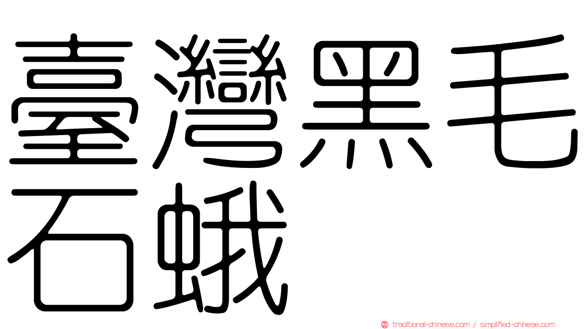臺灣黑毛石蛾