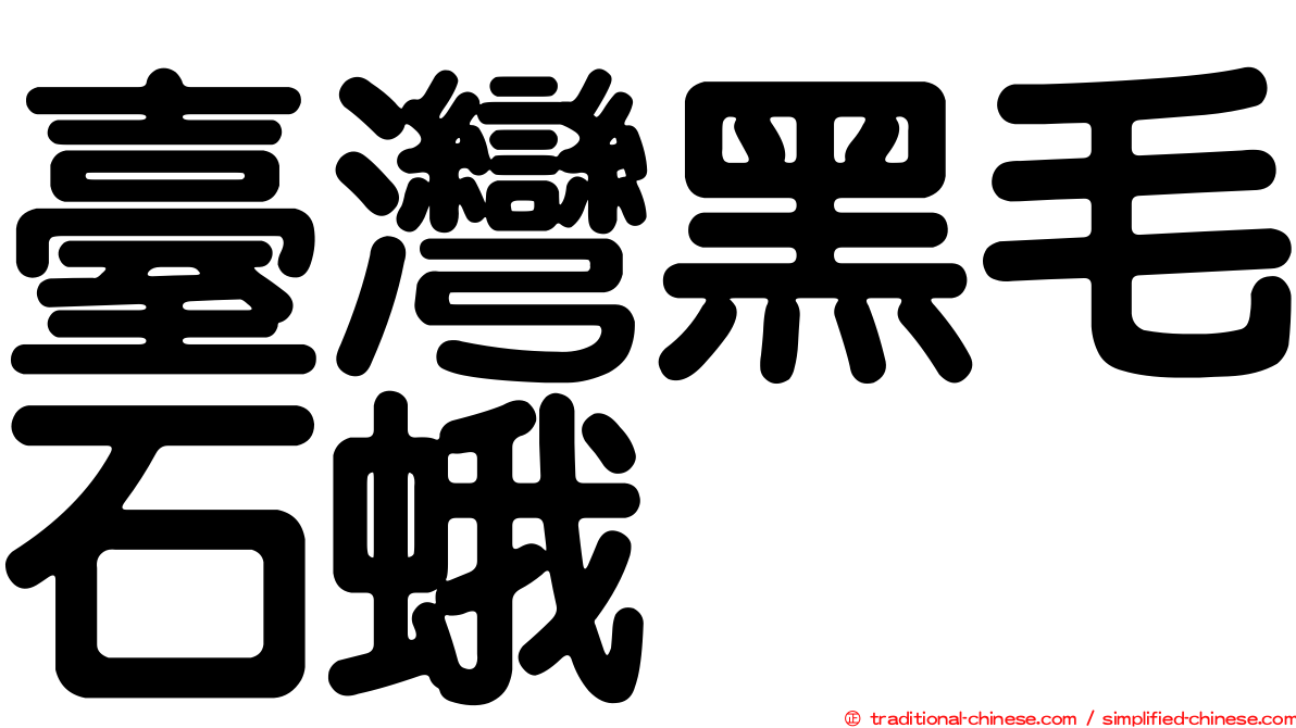 臺灣黑毛石蛾