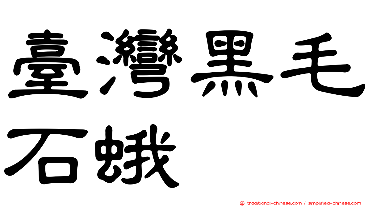臺灣黑毛石蛾