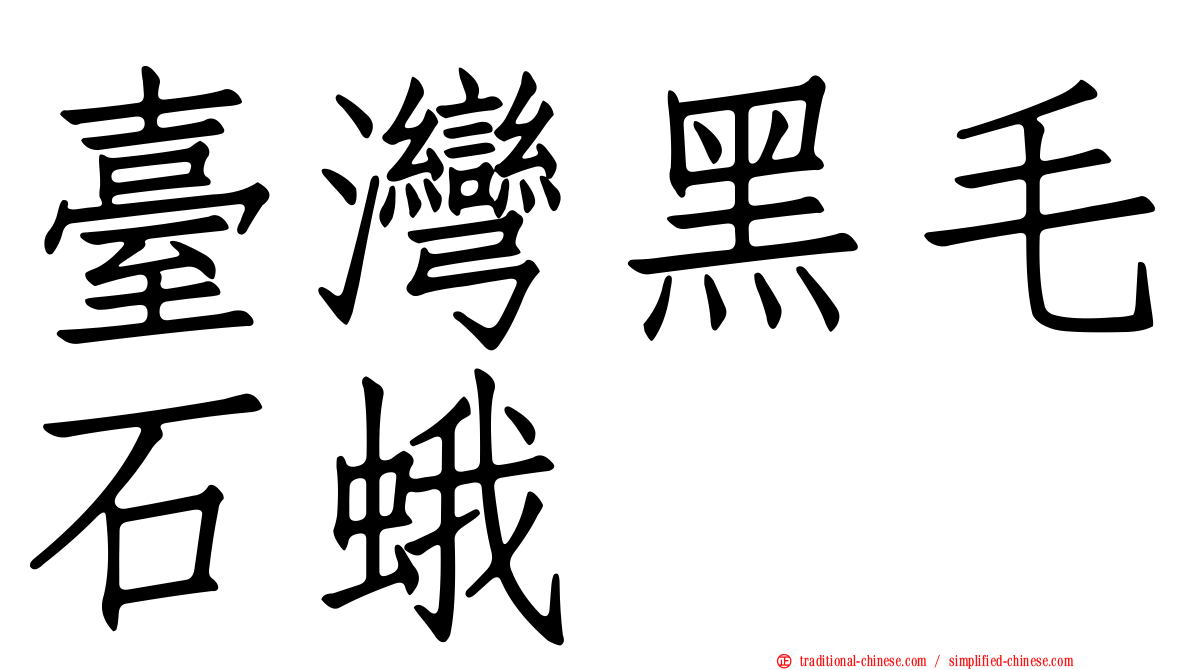 臺灣黑毛石蛾