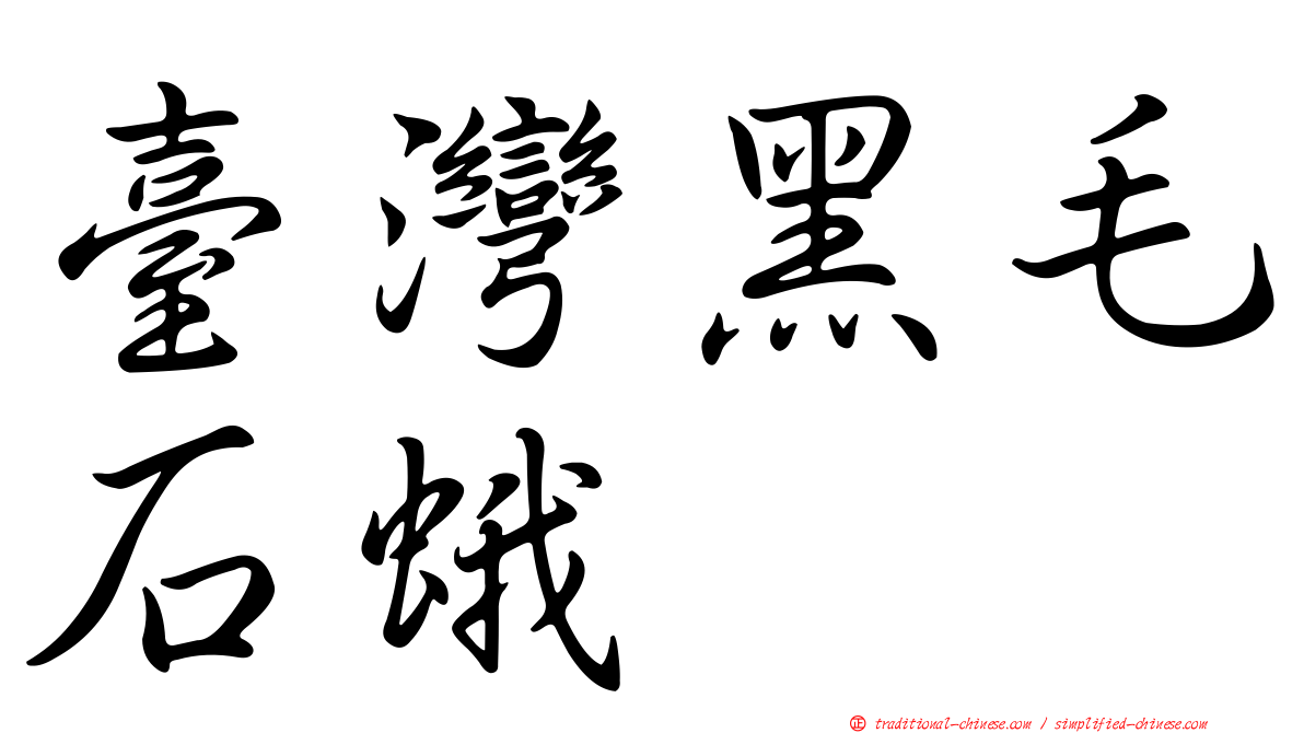 臺灣黑毛石蛾
