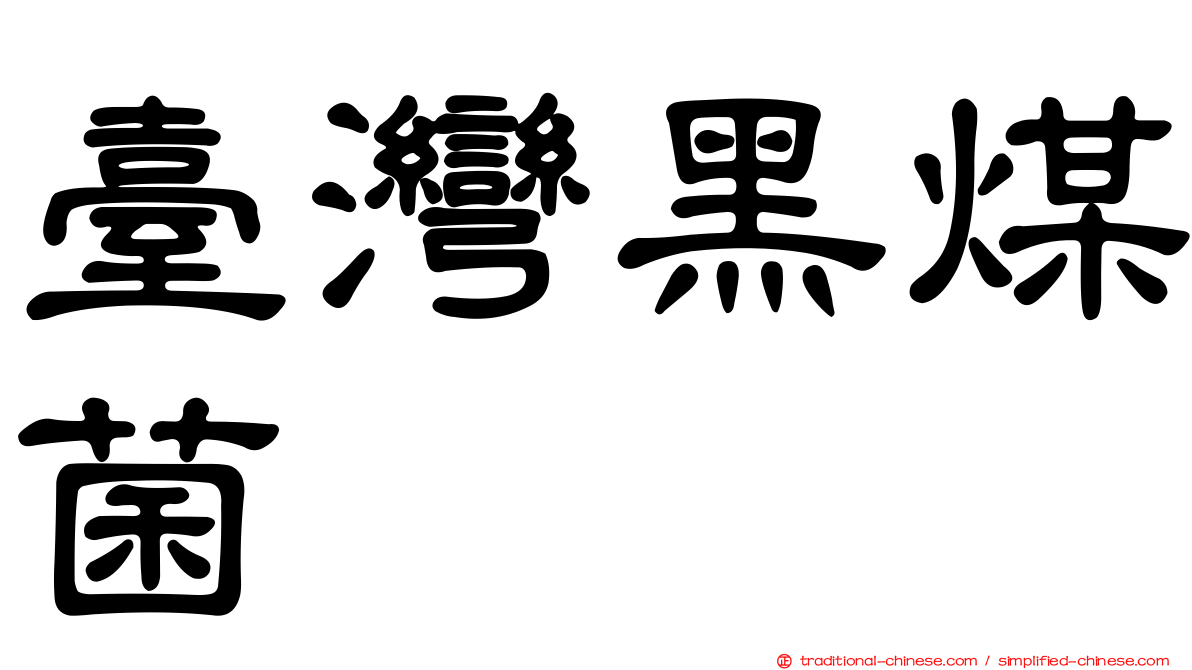 臺灣黑煤菌