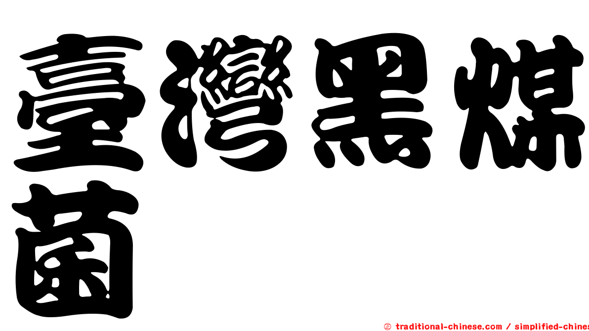 臺灣黑煤菌