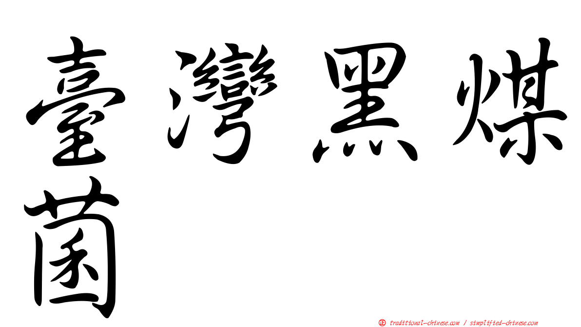 臺灣黑煤菌