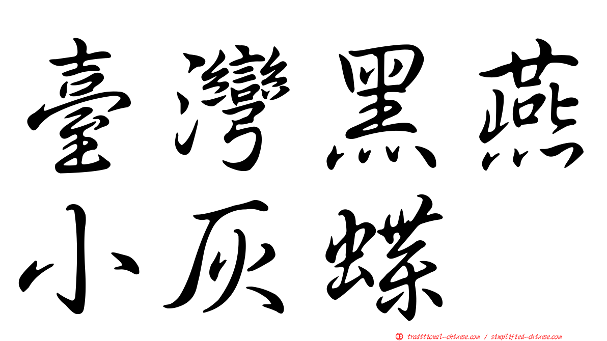 臺灣黑燕小灰蝶