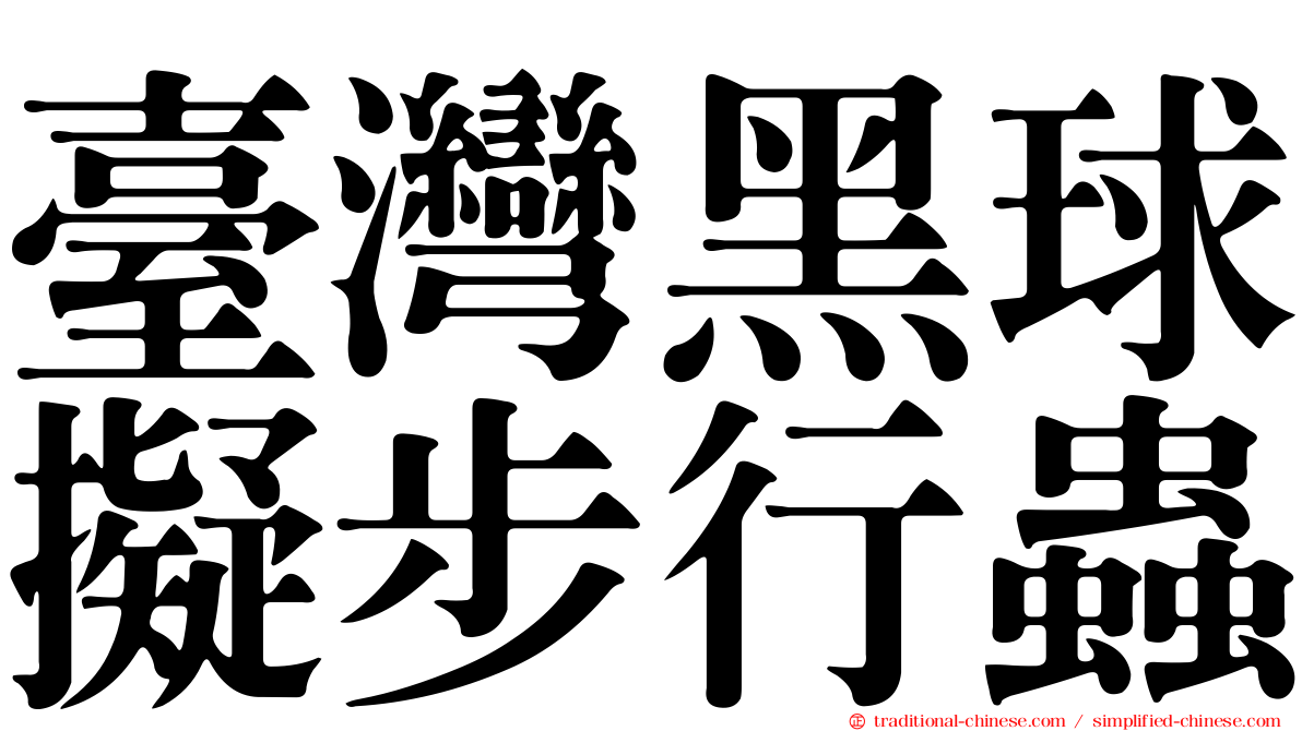 臺灣黑球擬步行蟲