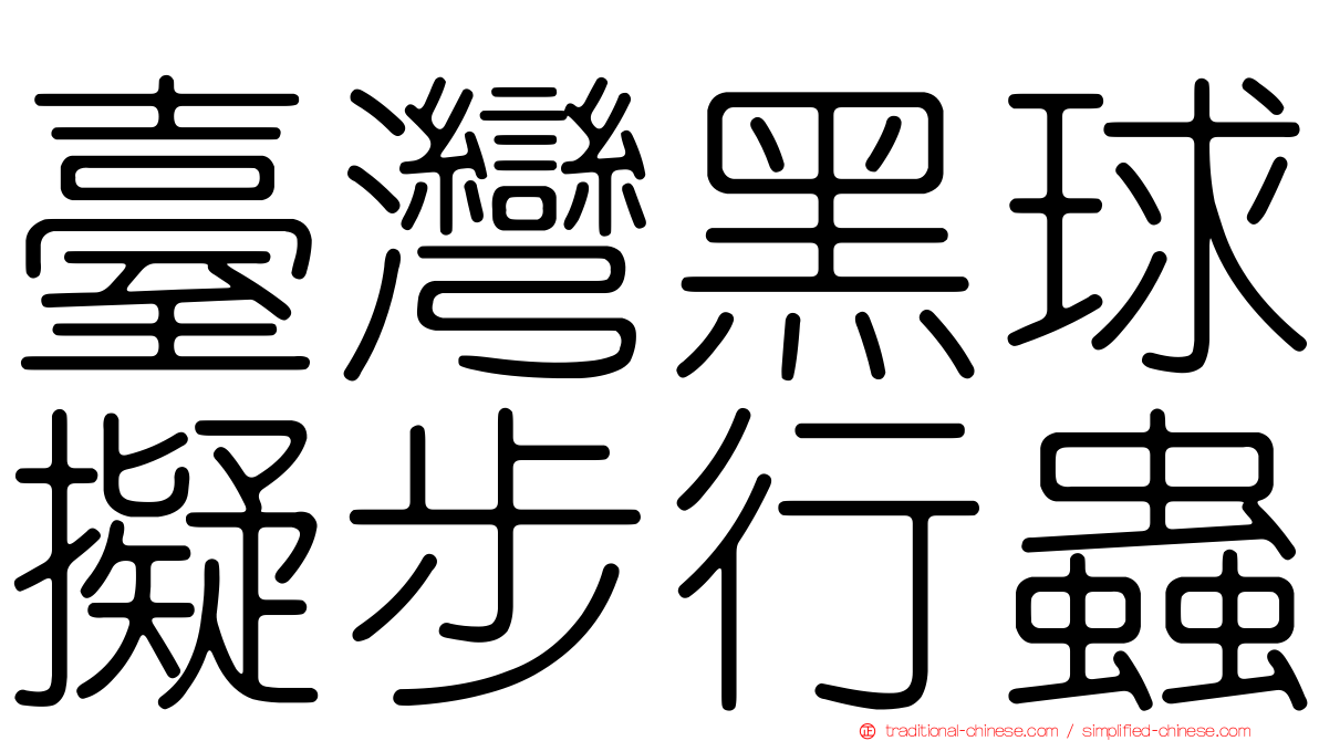 臺灣黑球擬步行蟲