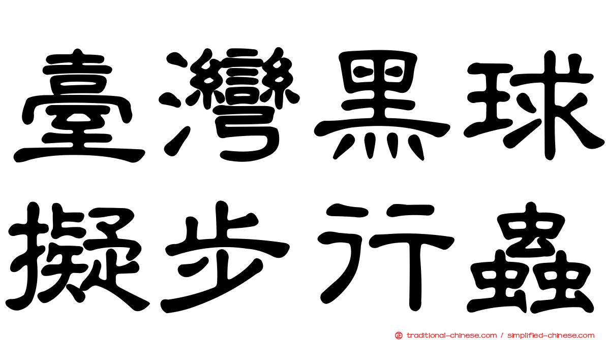 臺灣黑球擬步行蟲