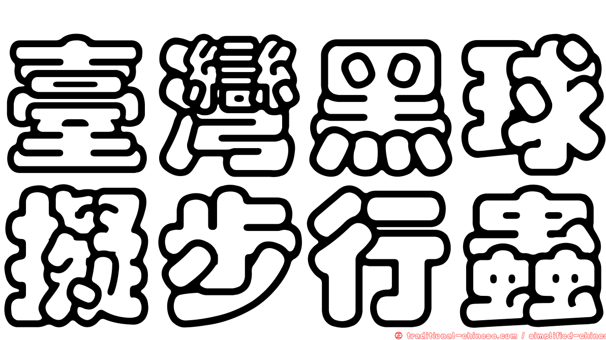 臺灣黑球擬步行蟲