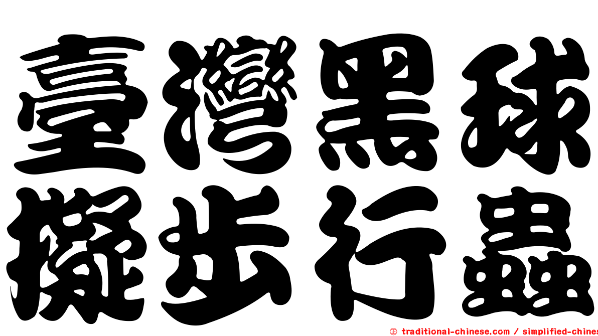 臺灣黑球擬步行蟲