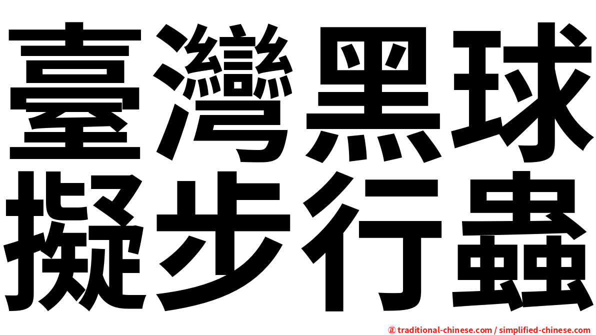 臺灣黑球擬步行蟲