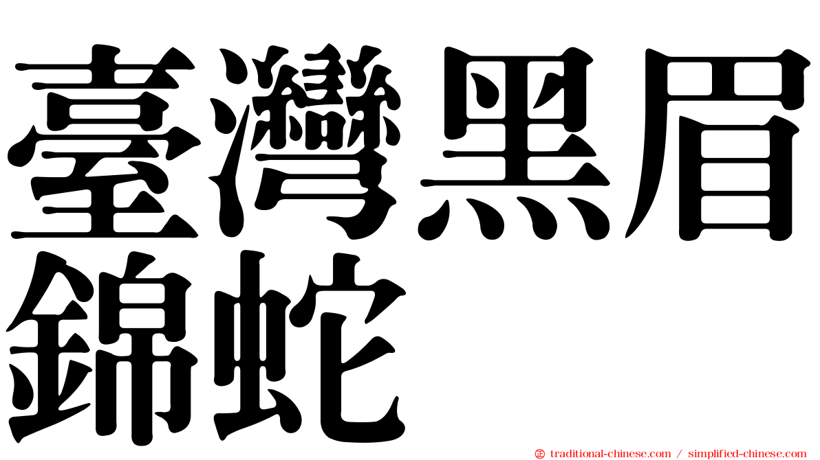 臺灣黑眉錦蛇