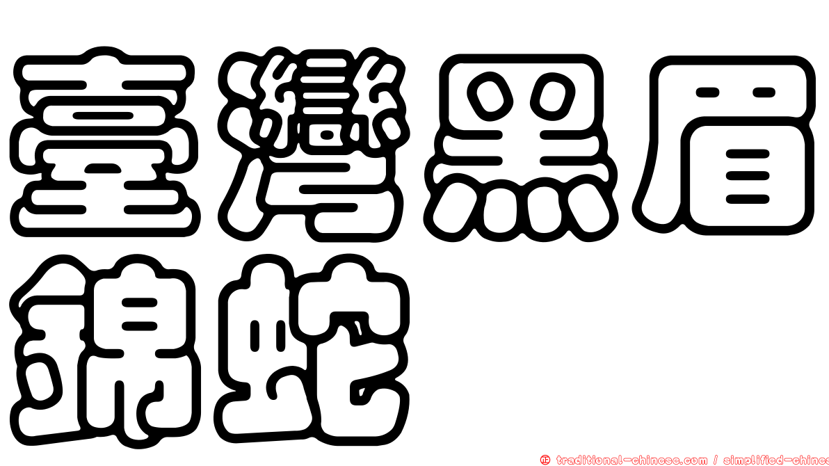 臺灣黑眉錦蛇