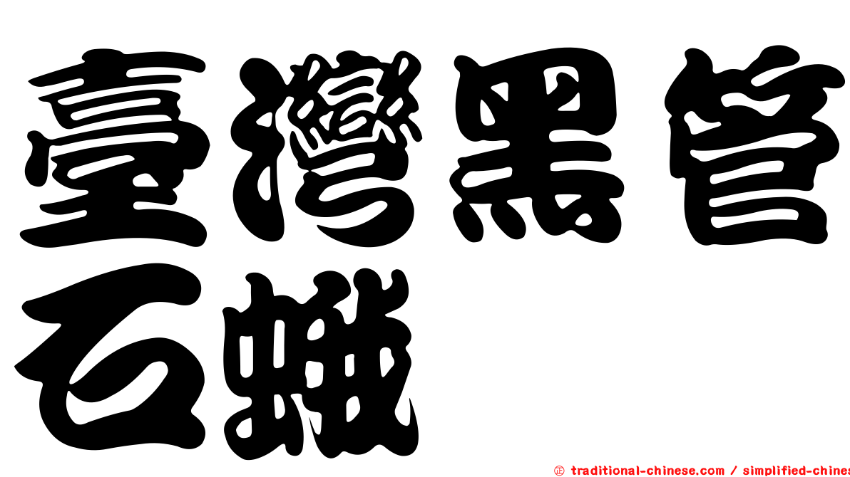 臺灣黑管石蛾
