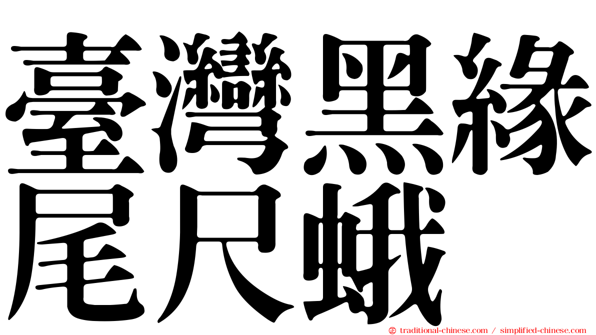 臺灣黑緣尾尺蛾