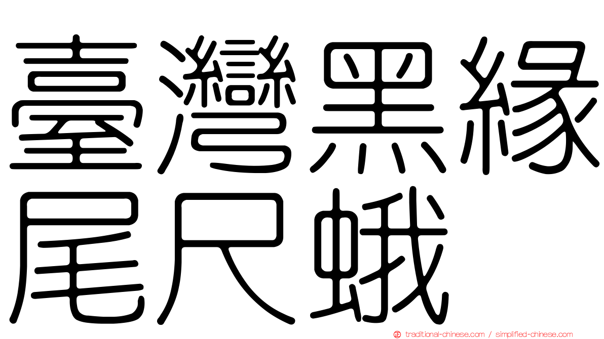 臺灣黑緣尾尺蛾