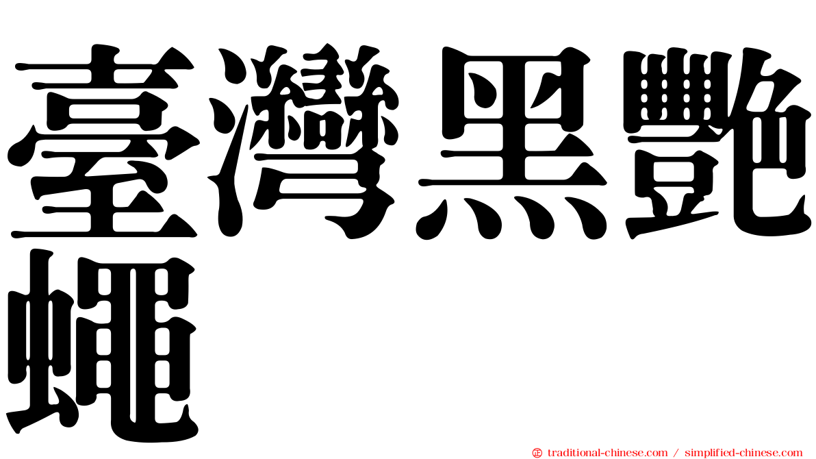臺灣黑艷蠅