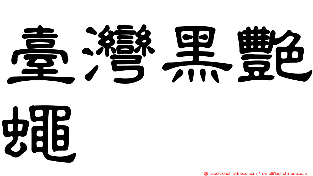 臺灣黑艷蠅