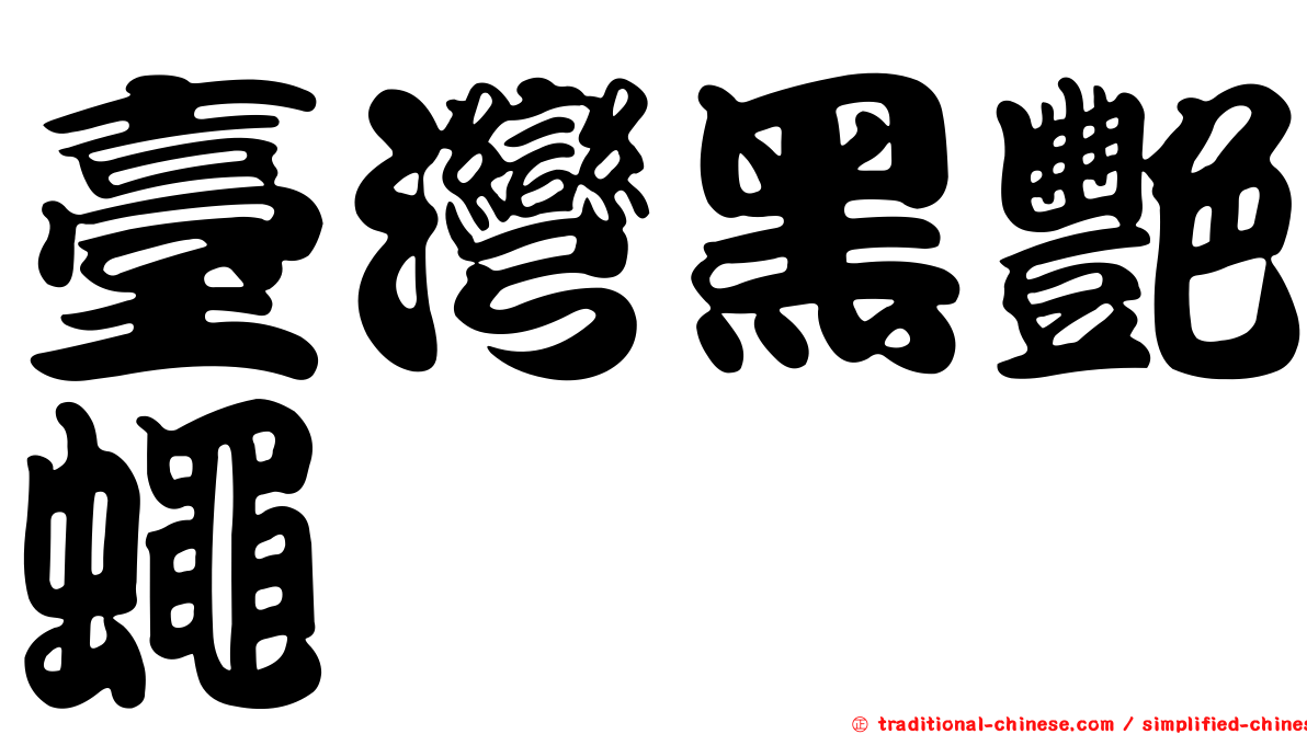 臺灣黑艷蠅
