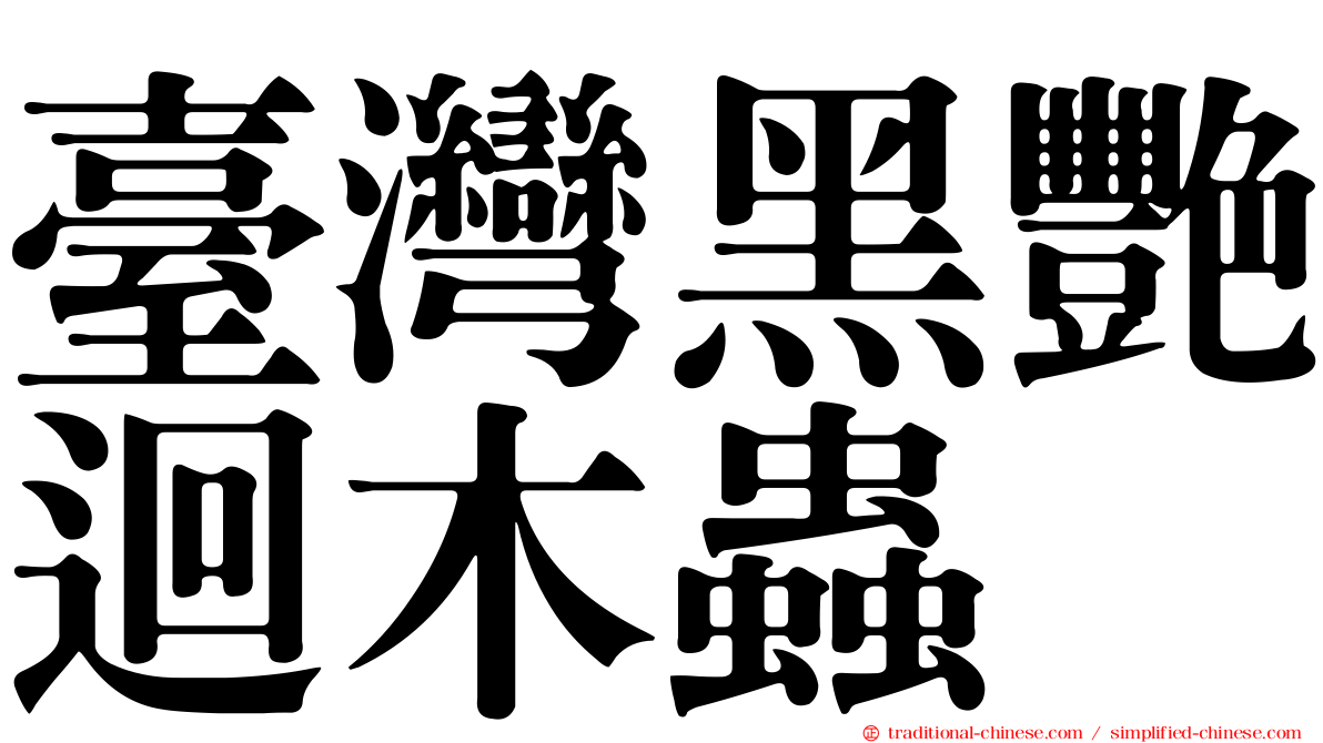 臺灣黑艷迴木蟲