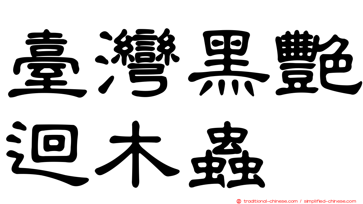 臺灣黑艷迴木蟲