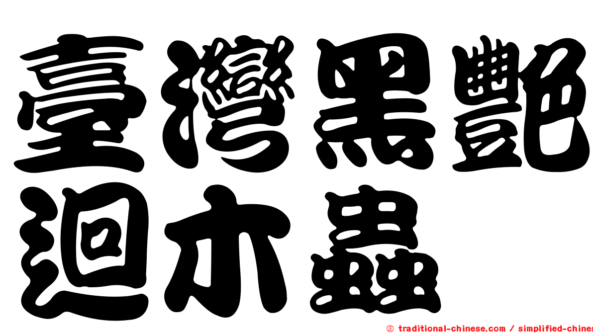 臺灣黑艷迴木蟲