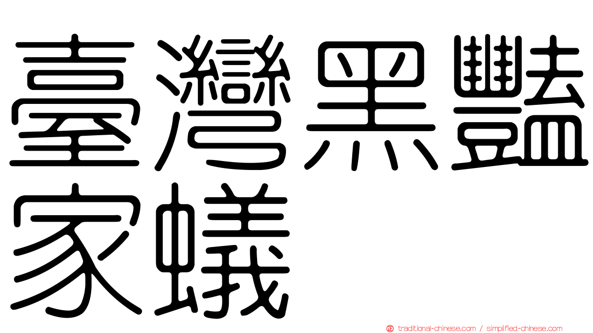 臺灣黑豔家蟻